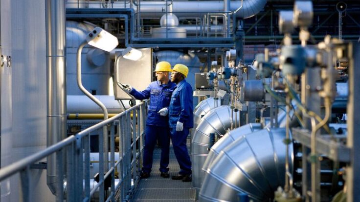 شركات عزل جبزى